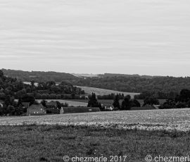 DSC_1543_DxO